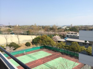 大学からの眺め